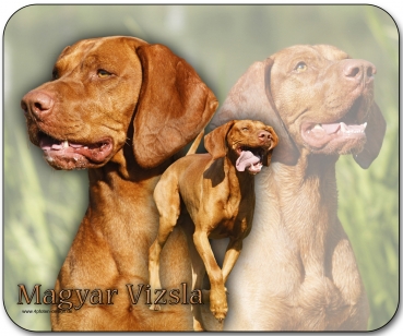 Mousepad Magyar Vizsla (Ungarischer Vorstehhund) #4